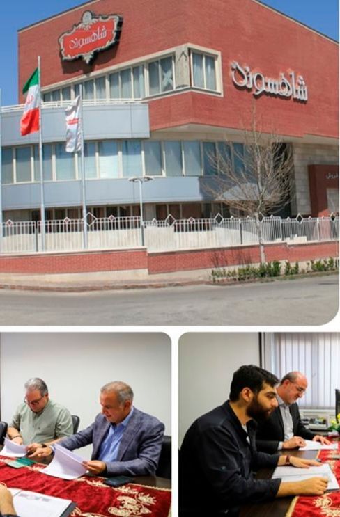 یک تیر و چند نشان